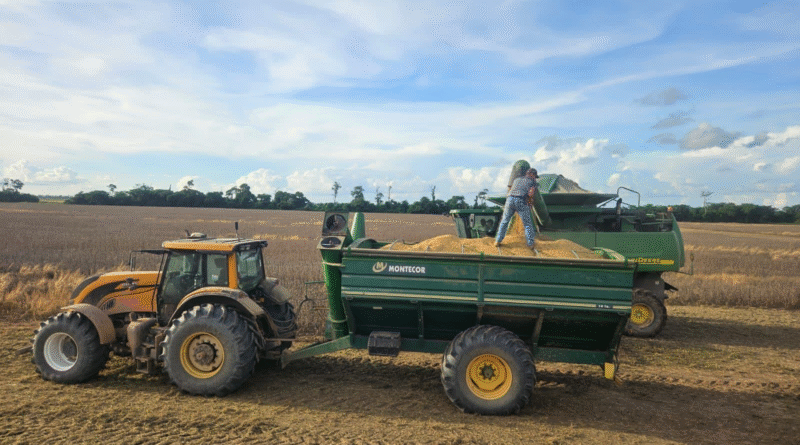 Gobierno libera 880 mil toneladas de grano de soya para exportación, pero productores esperan una apertura total