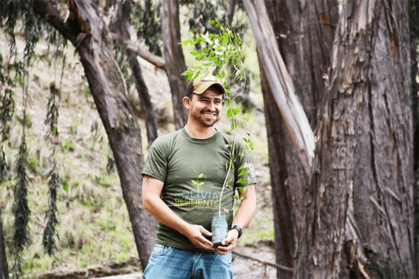 FONABOSQUE plantea giro estratégico ante crisis forestal