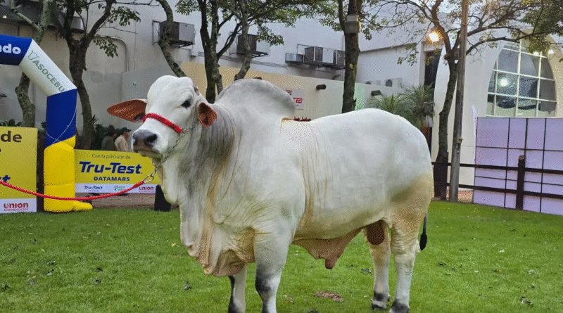 Agropecruz 2026 consolida su rol como eje estratégico del desarrollo agropecuario en Bolivia