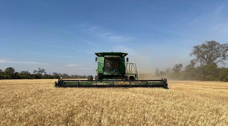 Anapo advierte que la falta de diésel pone en riesgo la seguridad alimentaria del país