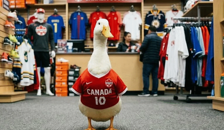El pato viral mexicano abre mercado inesperado en Canadá