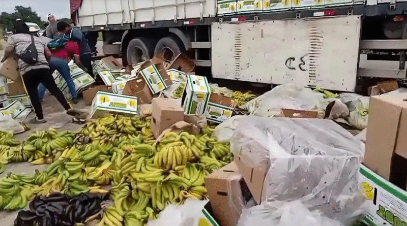 Bananeros bolivianos enfrentan una crisis exportadora tras más de 50 días de bloqueos