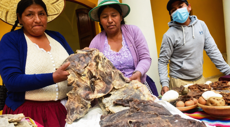 Bolivia busca abrir el mercado chileno al charque de llama